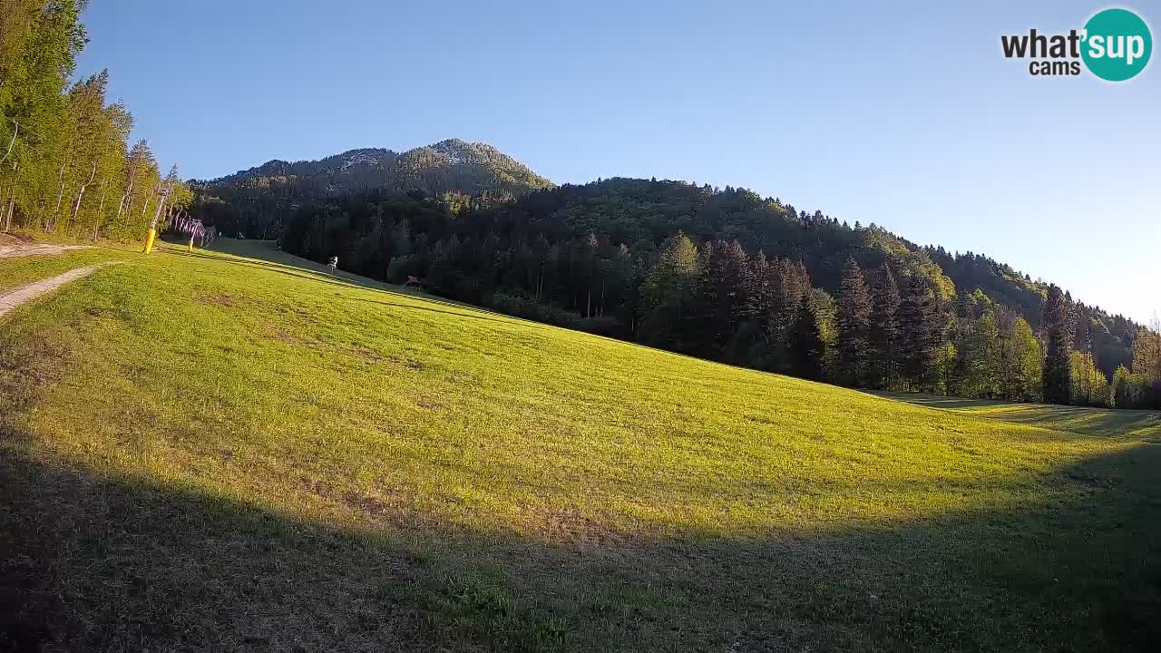 Comprensorio sciistico Kranjska Gora | Brsnina