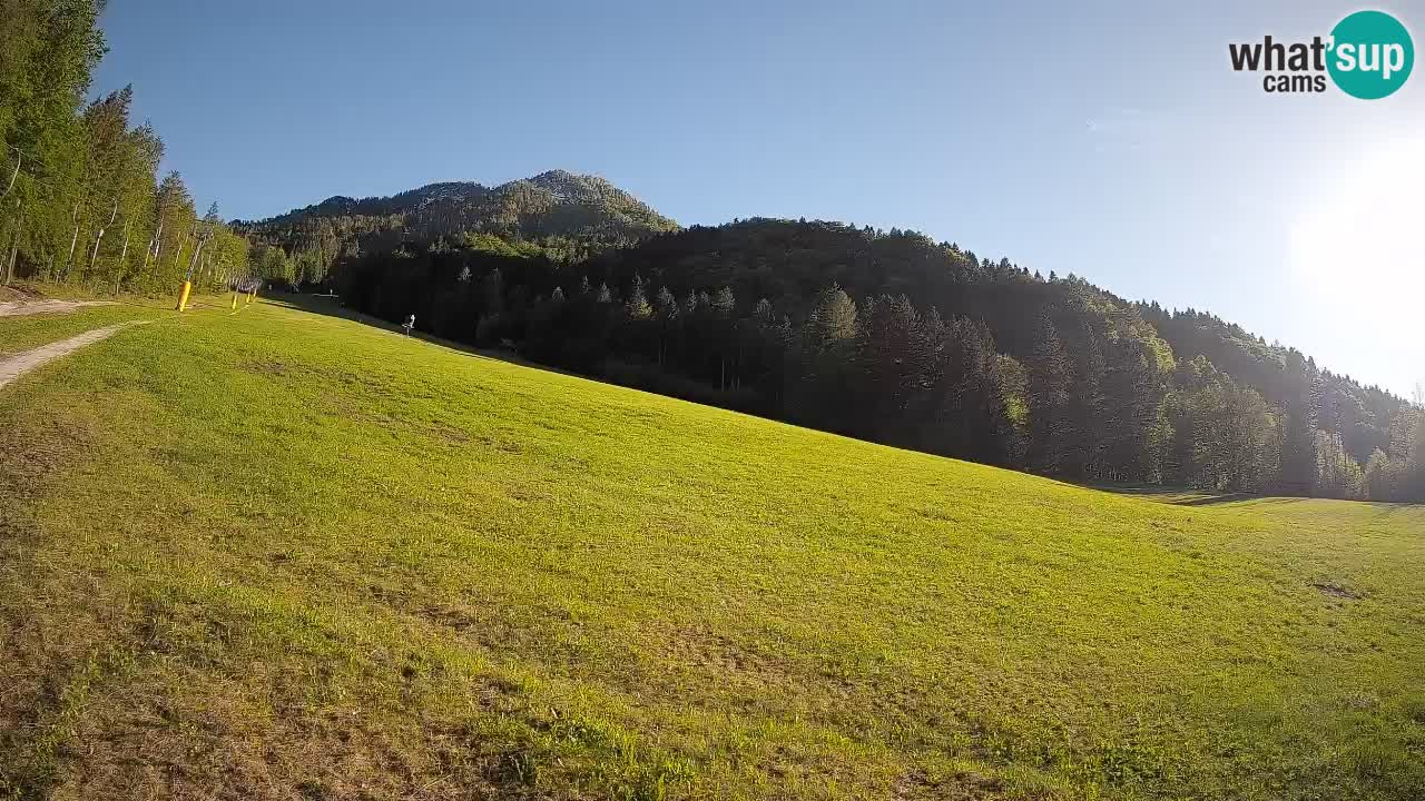 Ski Kranjska Gora | Brsnina