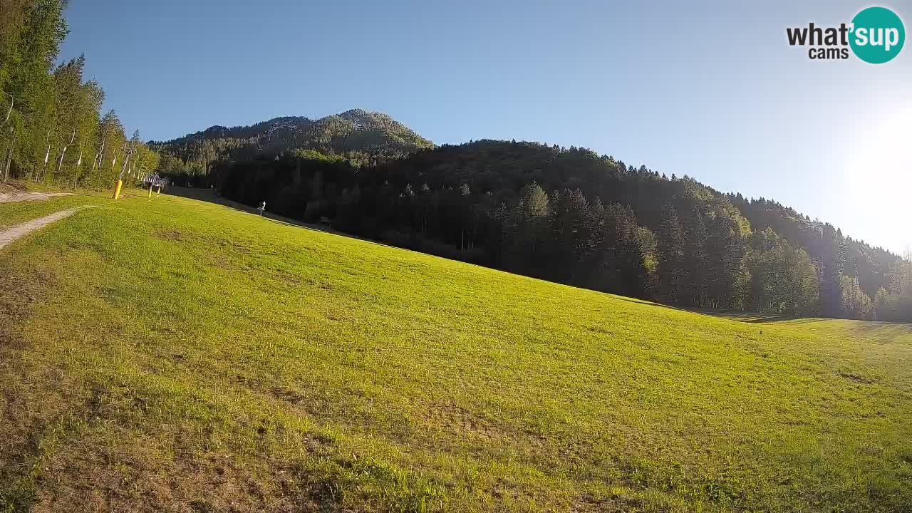 RTC Kranjska Gora | Brsnina