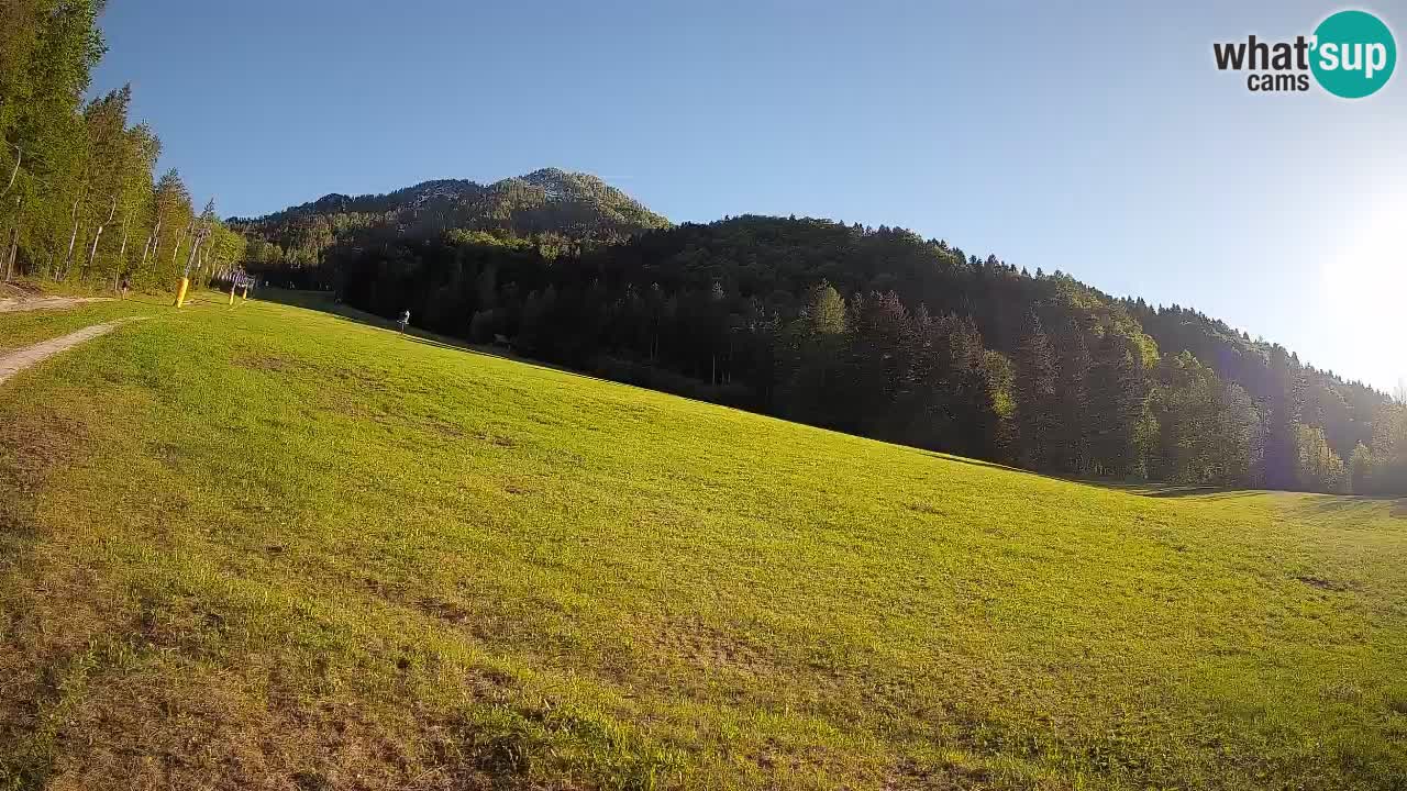 Kranjska Gora Station de ski | Brsnina