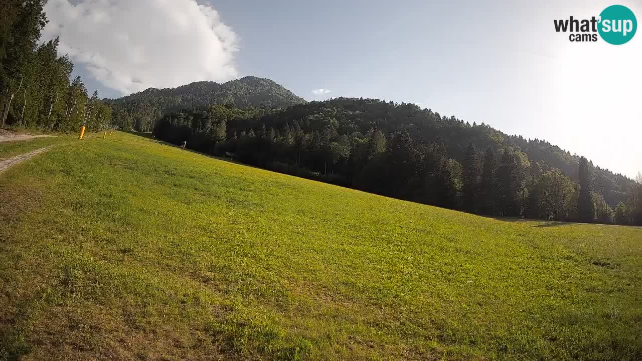 Comprensorio sciistico Kranjska Gora | Brsnina