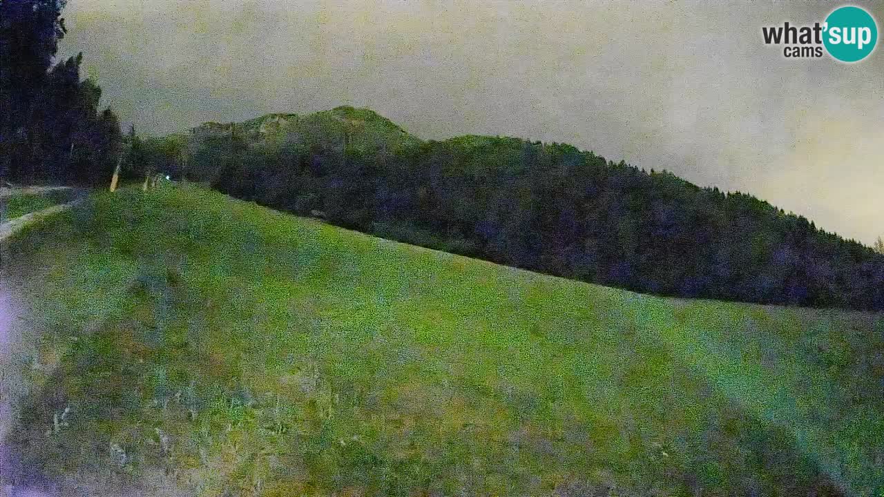 Esquí Kranjska Gora | Brsnina
