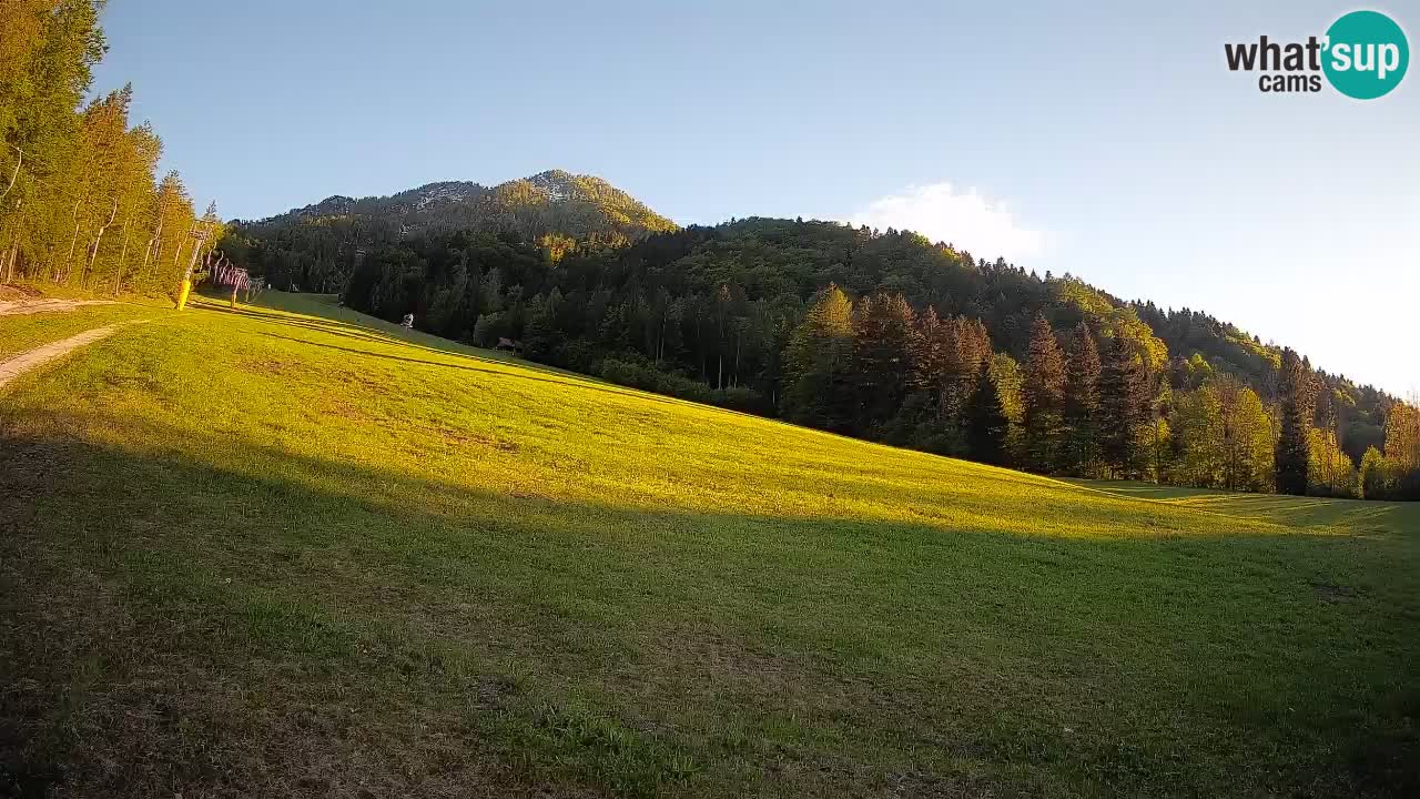RTC Skigebiet Kranjska Gora | Brsnina