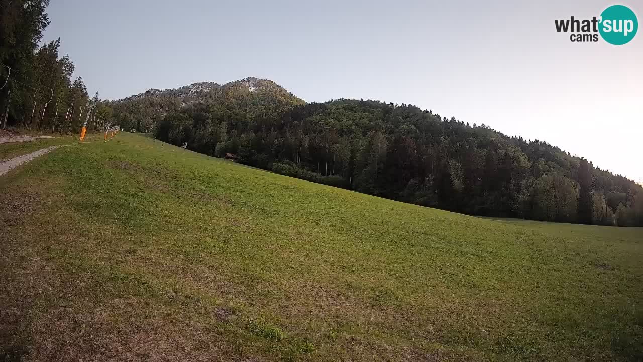 Kranjska Gora Station de ski | Brsnina