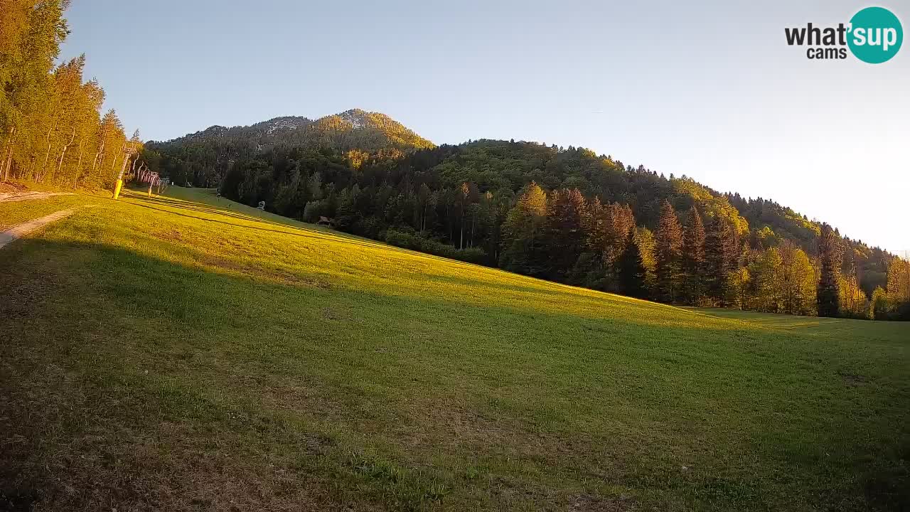 RTC Skigebiet Kranjska Gora | Brsnina