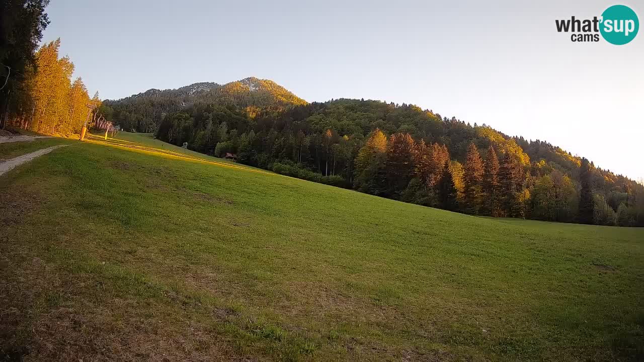 Kranjska Gora Station de ski | Brsnina