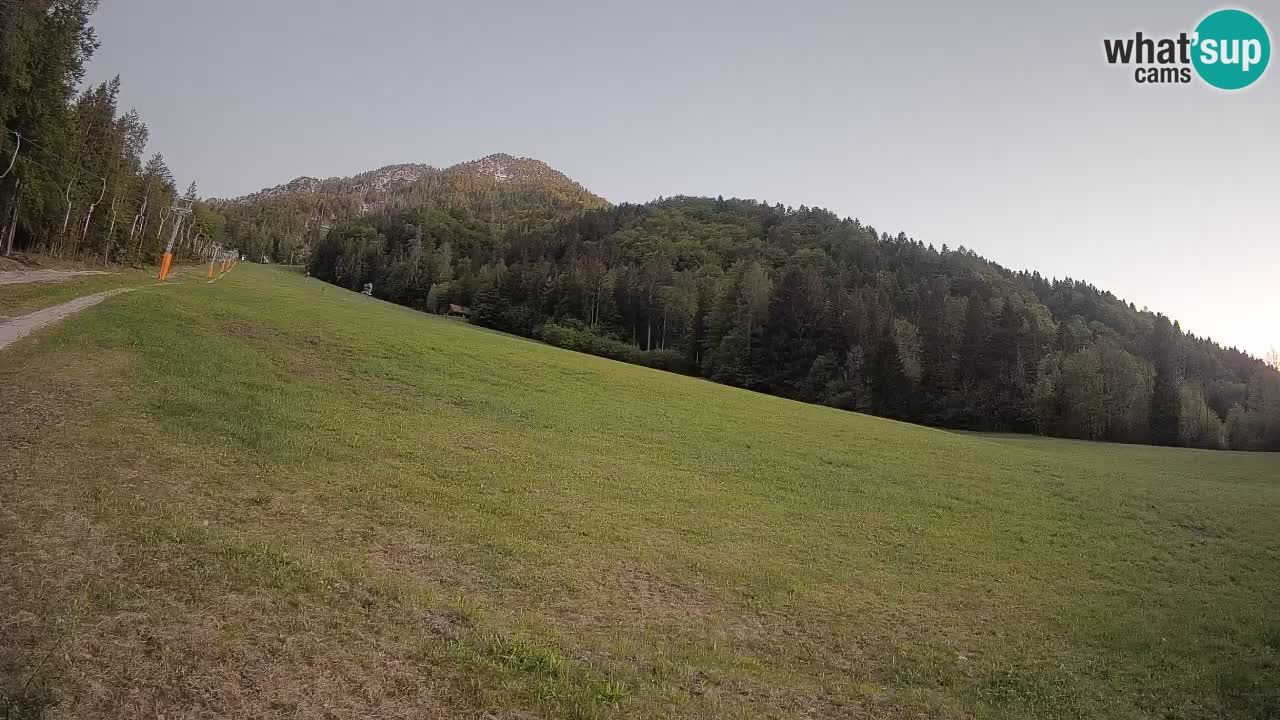 Ski Kranjska Gora | Brsnina