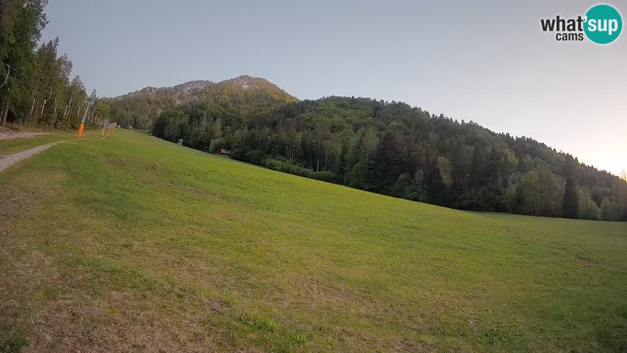 RTC Skigebiet Kranjska Gora | Brsnina