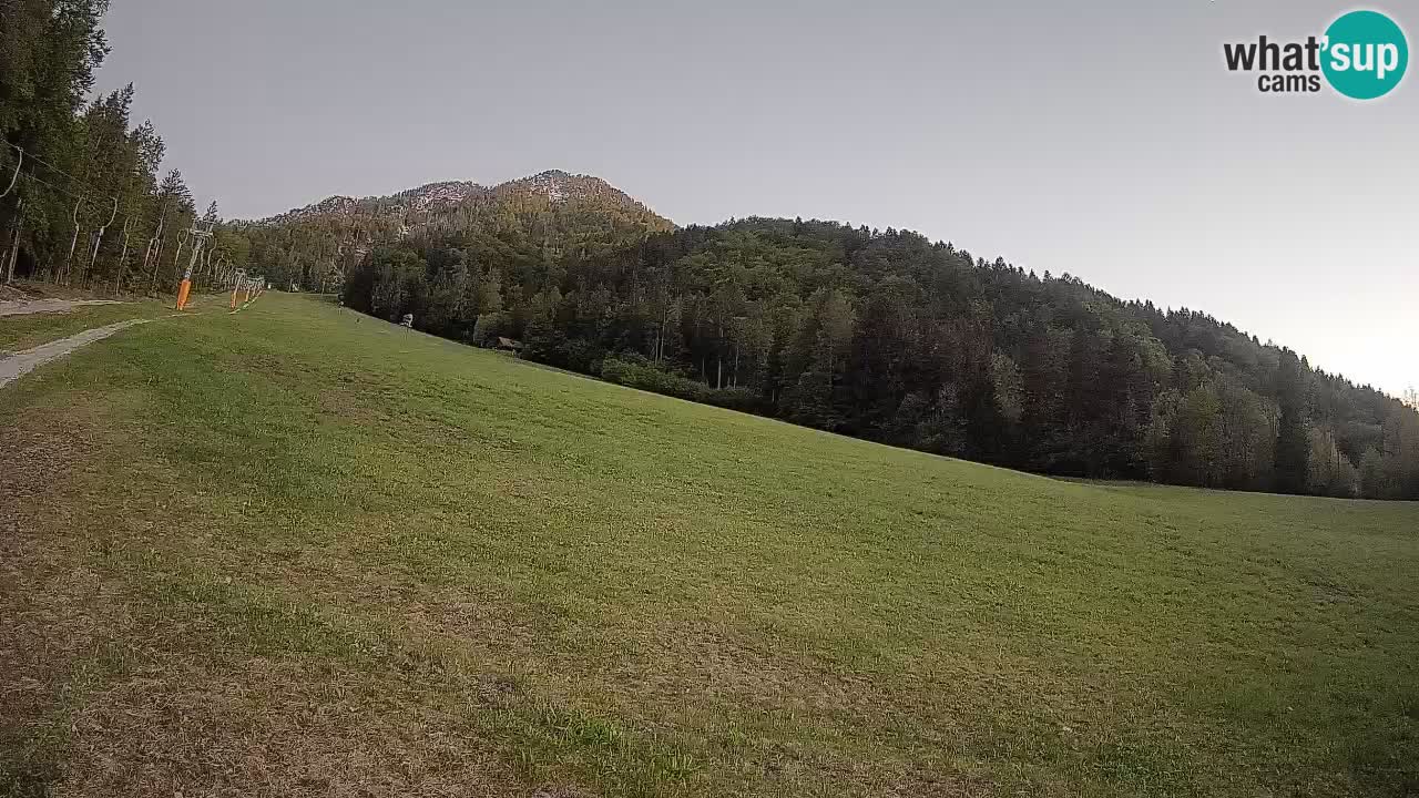Comprensorio sciistico Kranjska Gora | Brsnina