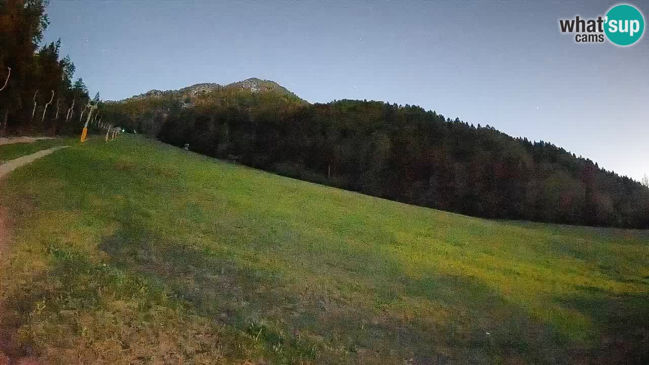 Comprensorio sciistico Kranjska Gora | Brsnina