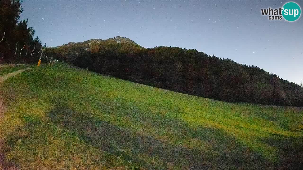 Ski Kranjska Gora | Brsnina