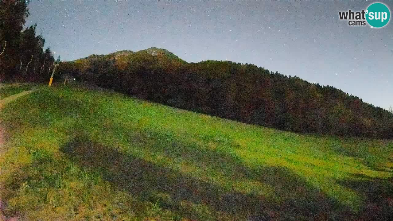 Ski Kranjska Gora | Brsnina
