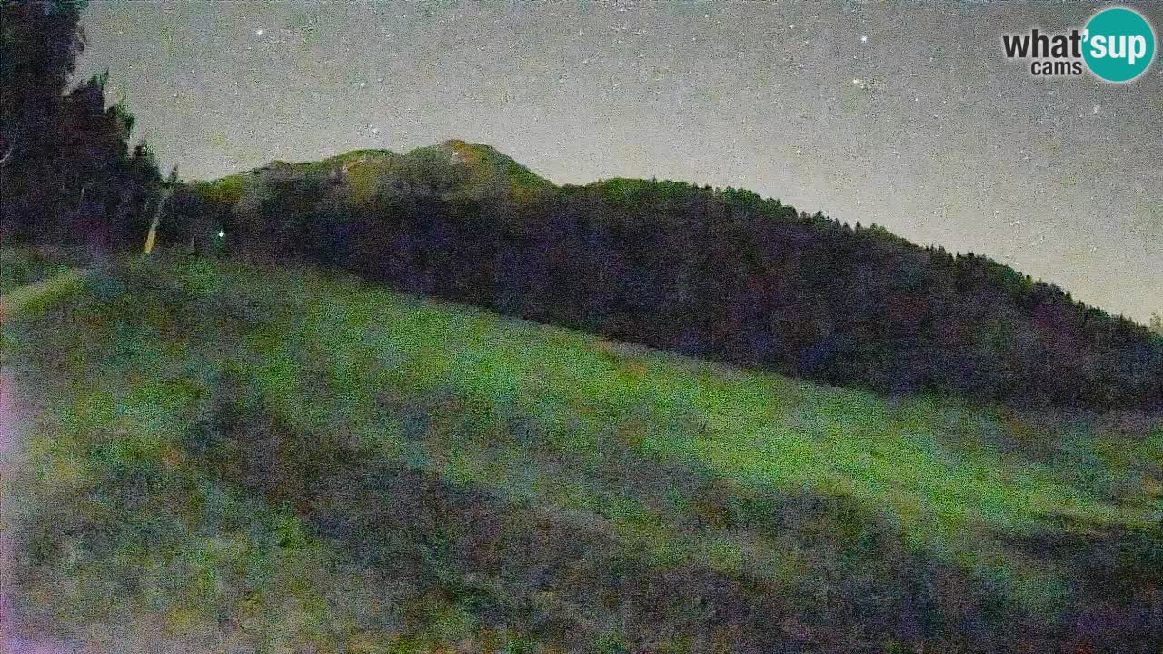 Comprensorio sciistico Kranjska Gora | Brsnina