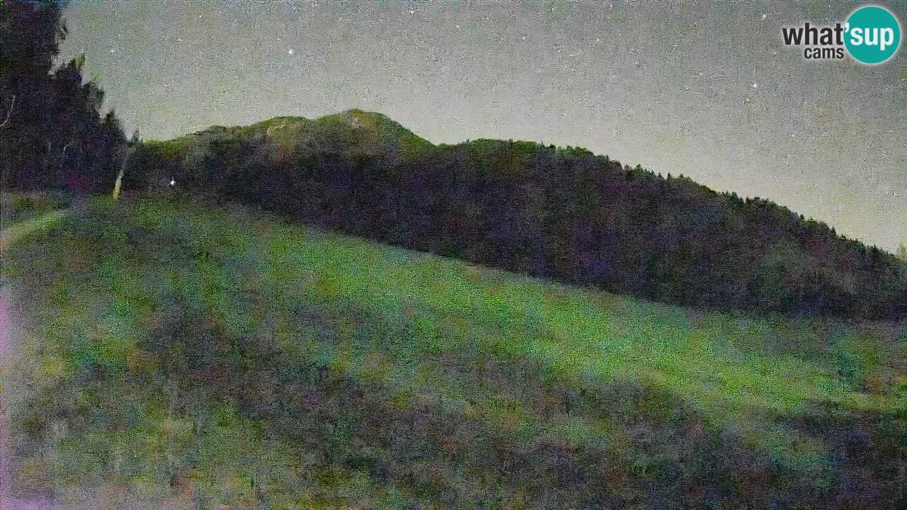Esquí Kranjska Gora | Brsnina