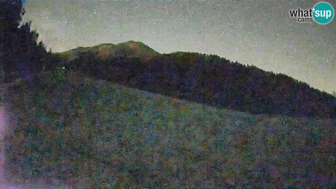 Kranjska Gora Station de ski | Brsnina