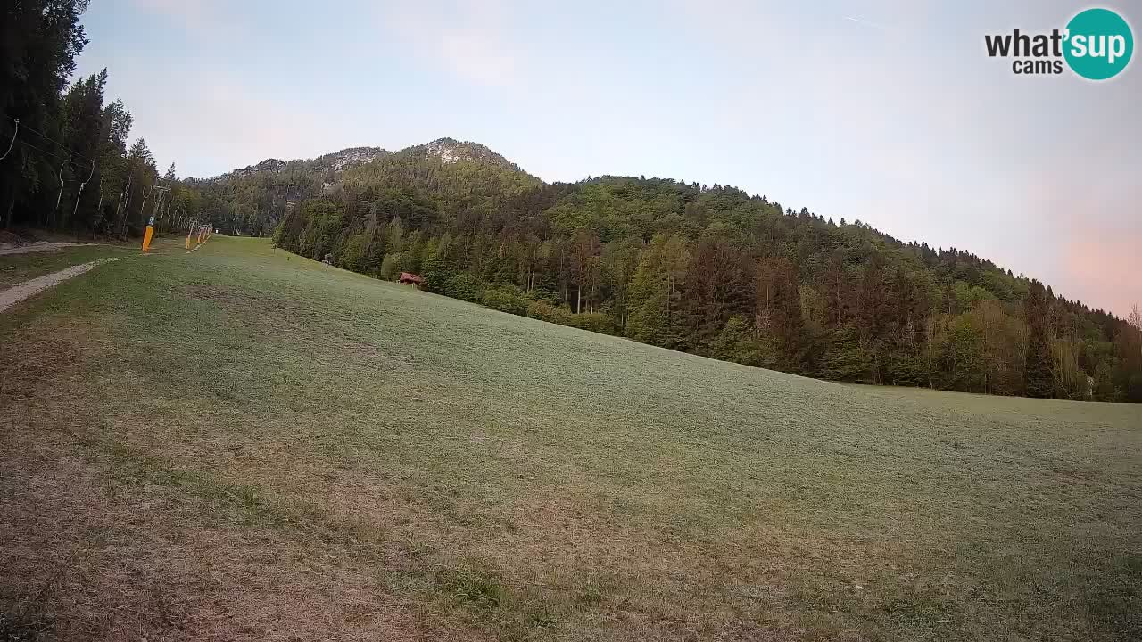 RTC Kranjska Gora | Brsnina