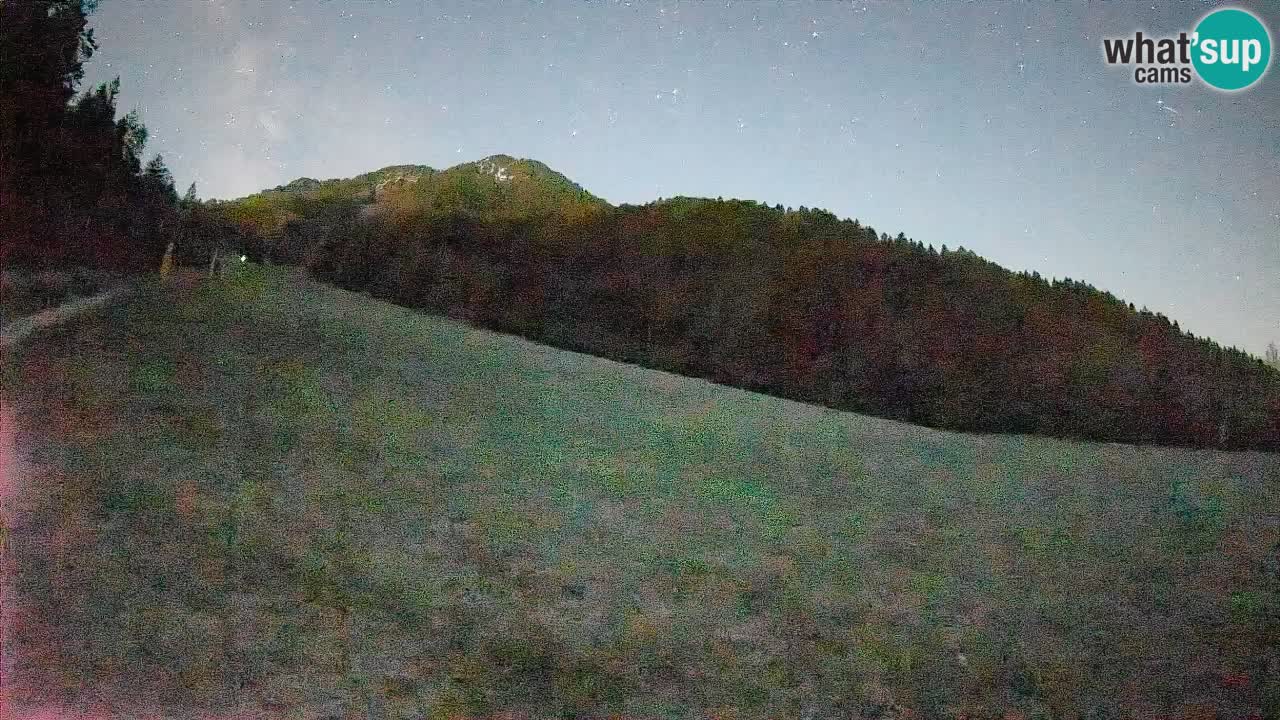 Esquí Kranjska Gora | Brsnina