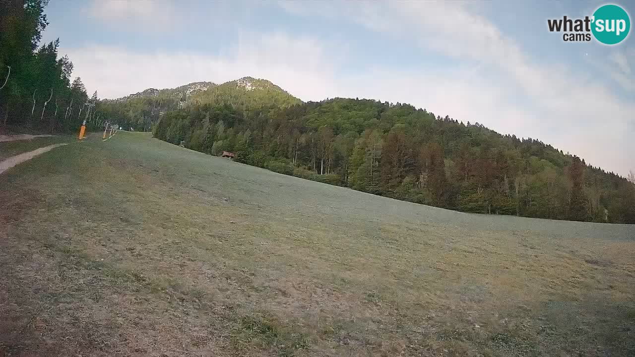 Comprensorio sciistico Kranjska Gora | Brsnina
