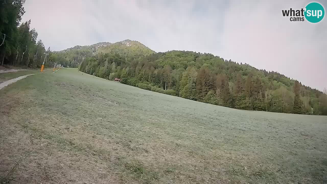 Esquí Kranjska Gora | Brsnina