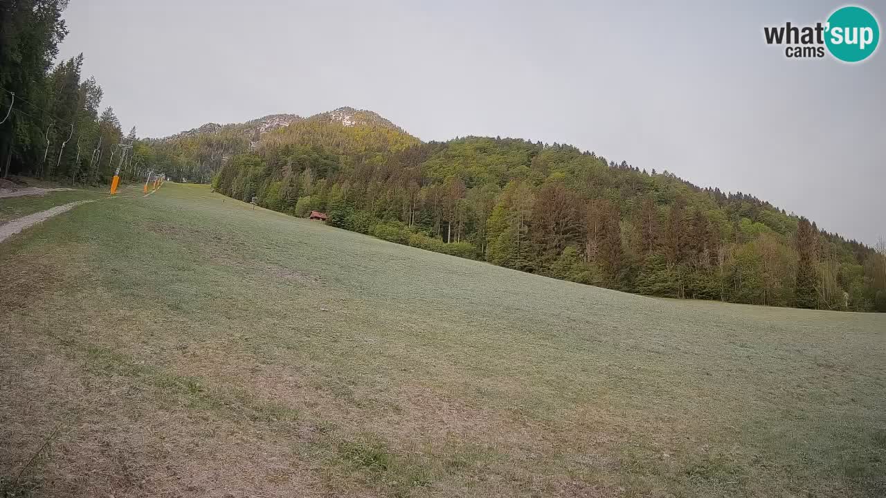 Ski Kranjska Gora | Brsnina