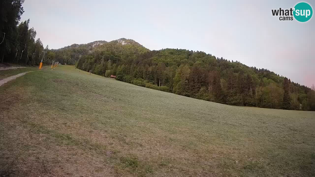 RTC Kranjska Gora | Brsnina