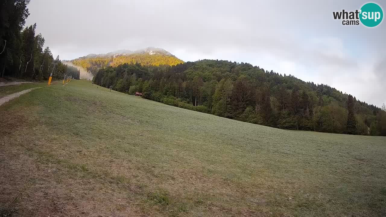 Ski Kranjska Gora | Brsnina