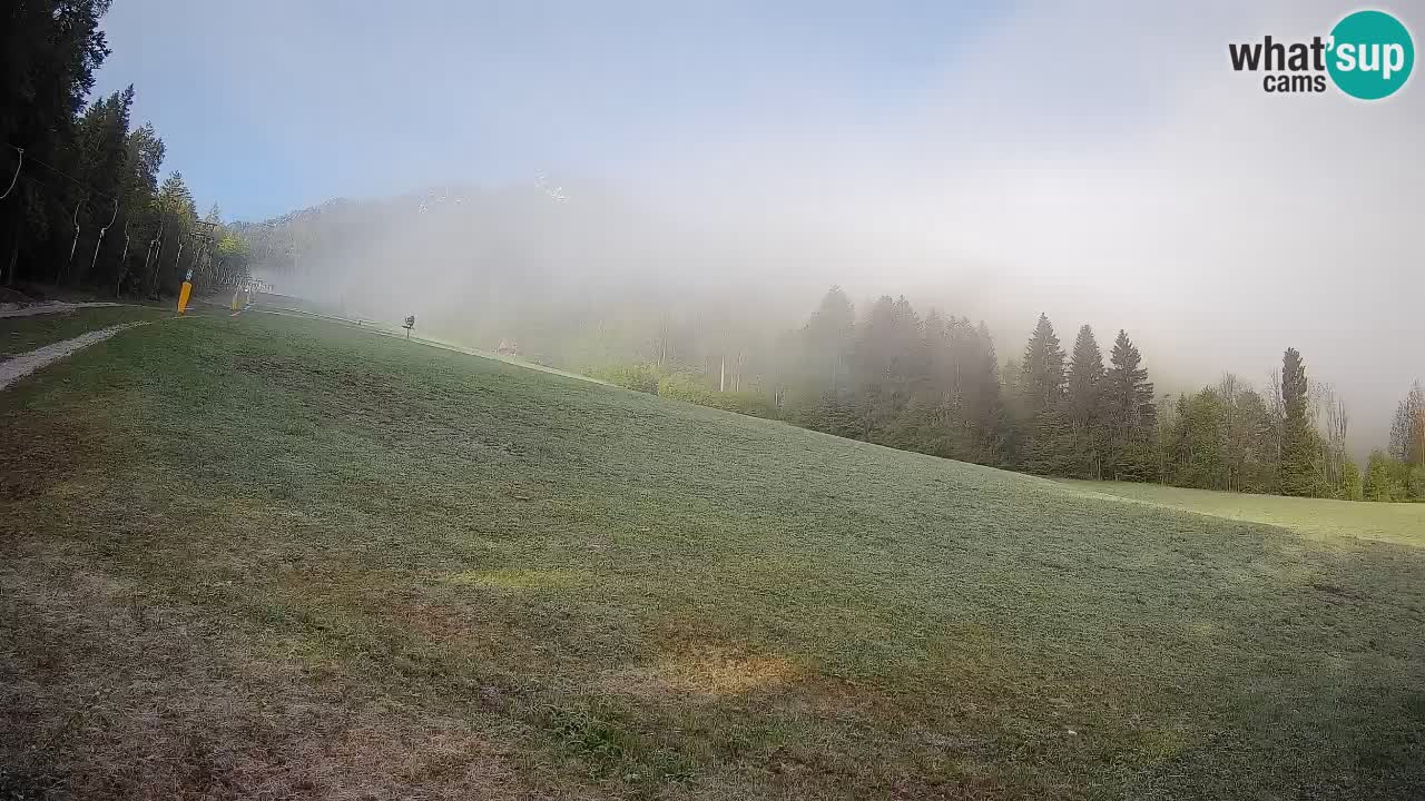 RTC Skigebiet Kranjska Gora | Brsnina