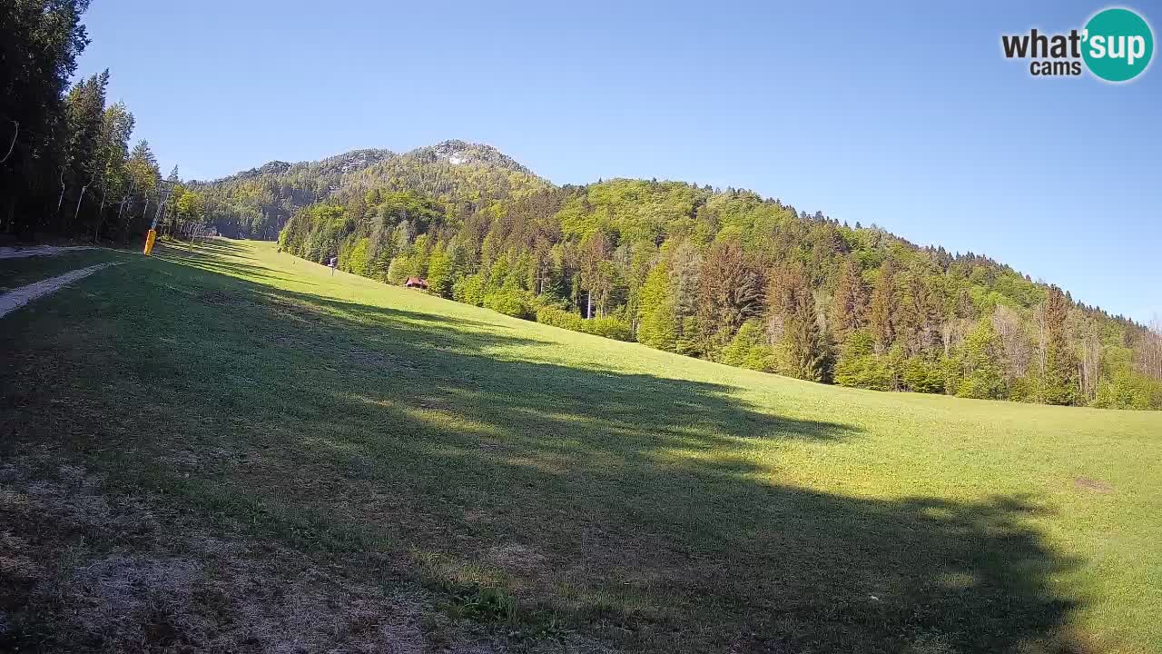RTC Kranjska Gora | Brsnina