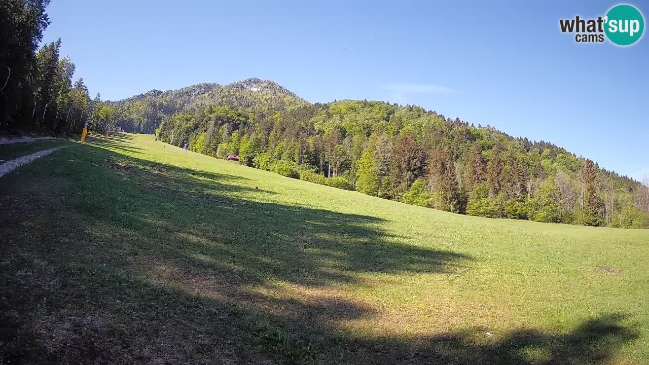 RTC Kranjska Gora | Brsnina