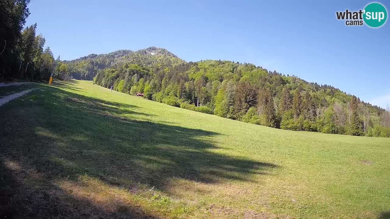Comprensorio sciistico Kranjska Gora | Brsnina