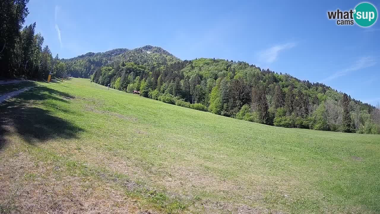 Kranjska Gora Station de ski | Brsnina