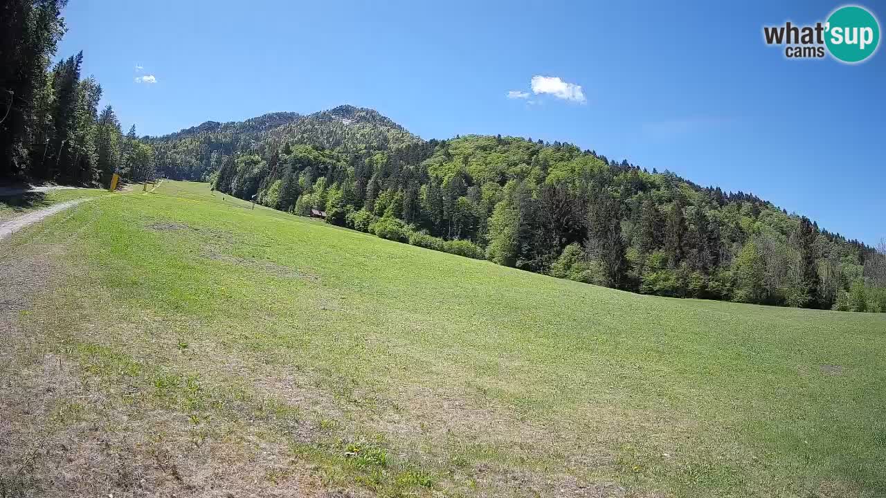 Kranjska Gora SKIJANJE | Brsnina