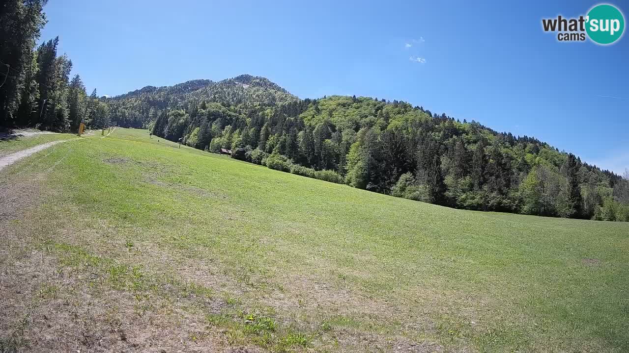 Ski Kranjska Gora | Brsnina