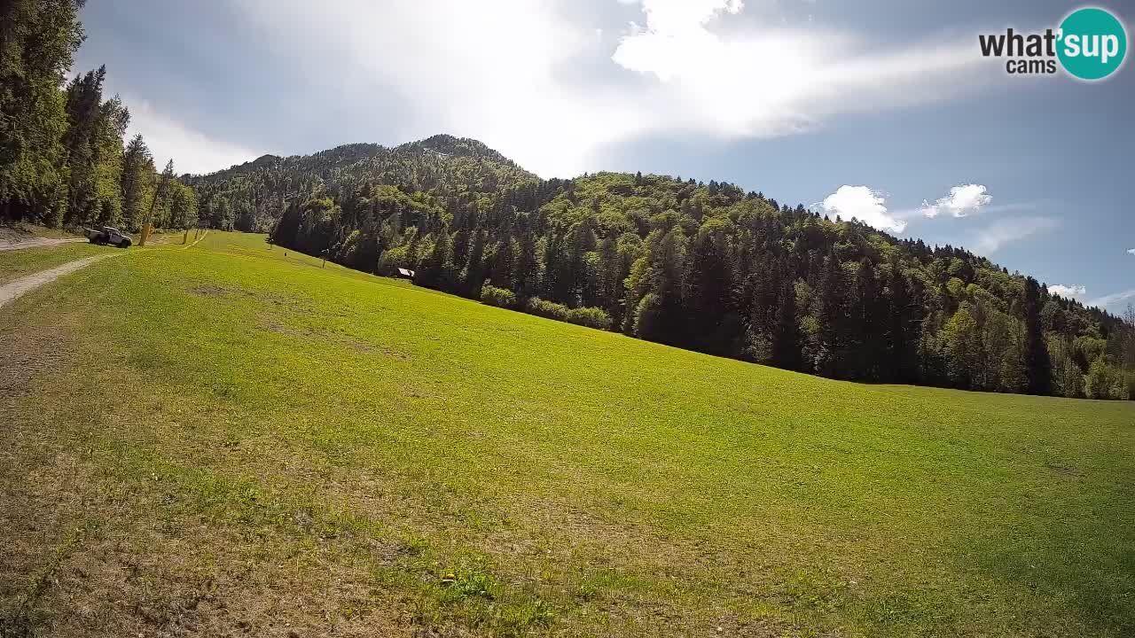 RTC Kranjska Gora | Brsnina
