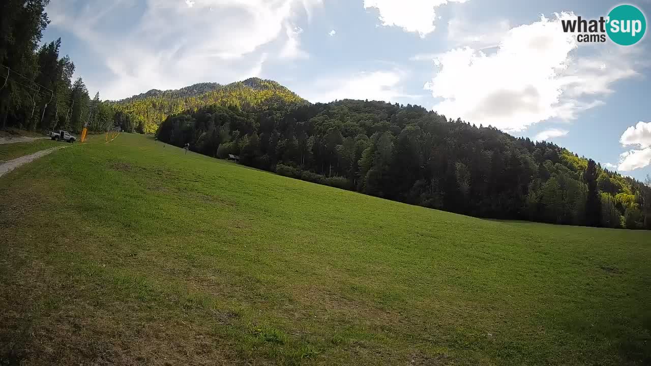 RTC Kranjska Gora | Brsnina