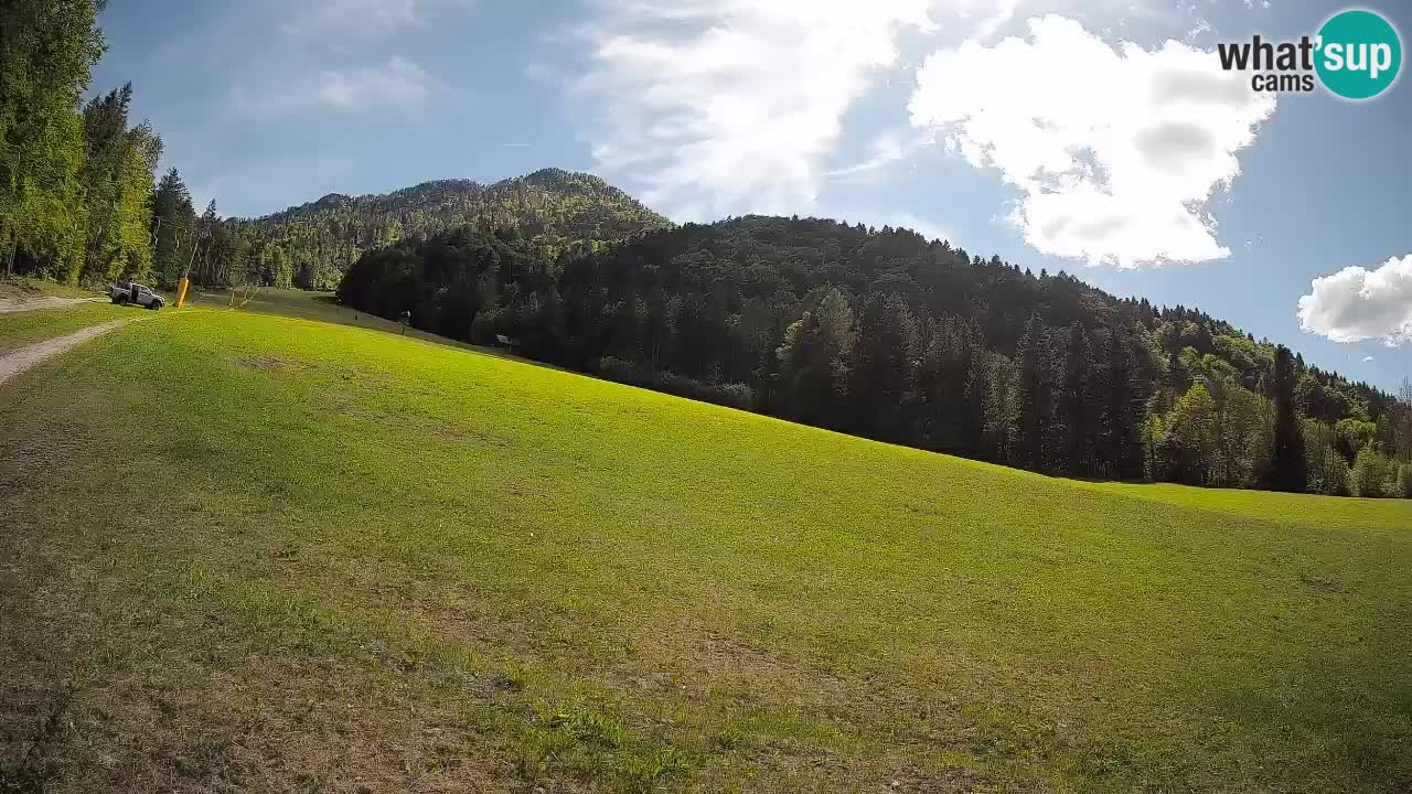 Ski Kranjska Gora | Brsnina
