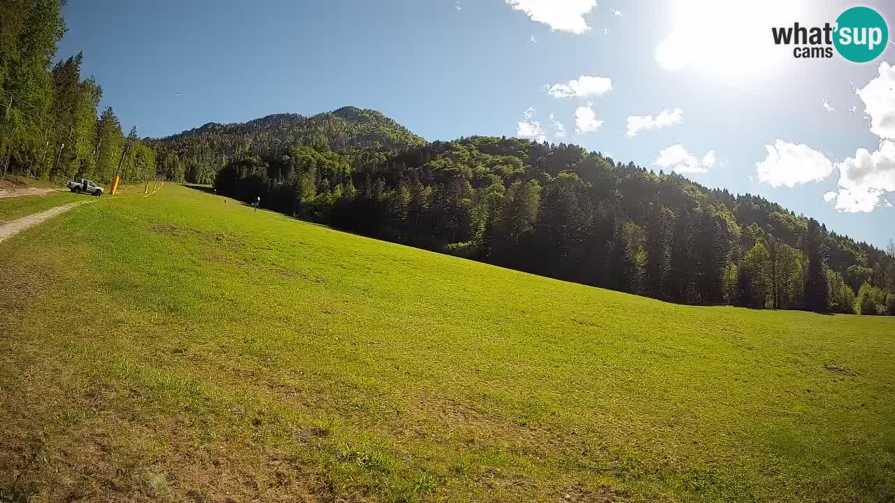 Ski Kranjska Gora | Brsnina