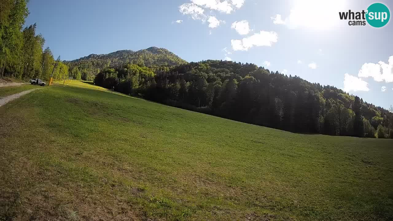 Ski Kranjska Gora | Brsnina
