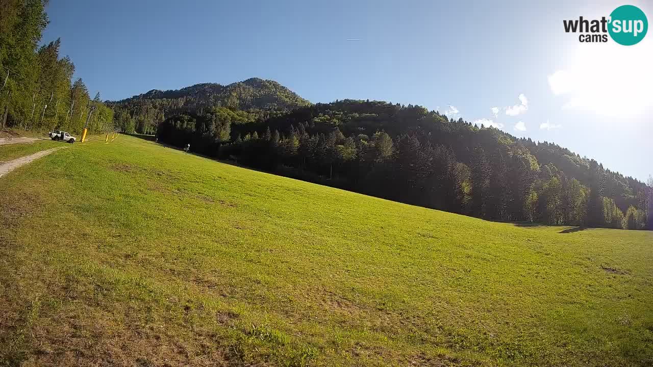 Ski Kranjska Gora | Brsnina