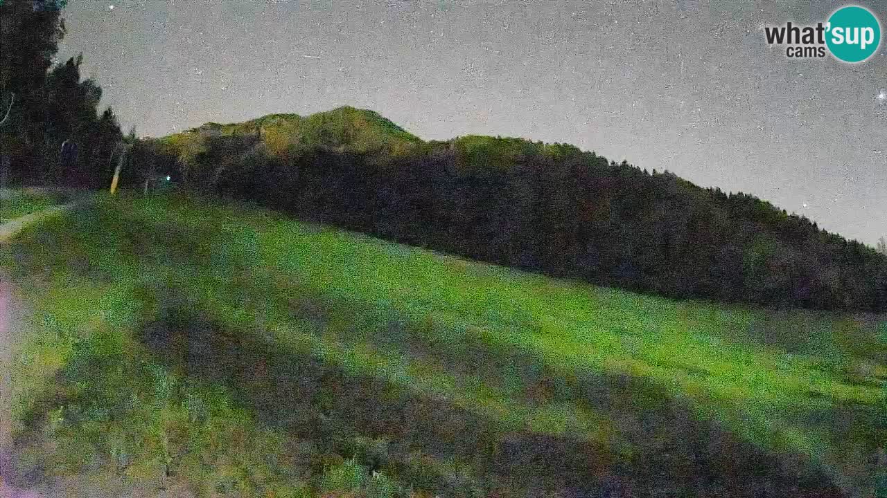 RTC Skigebiet Kranjska Gora | Brsnina