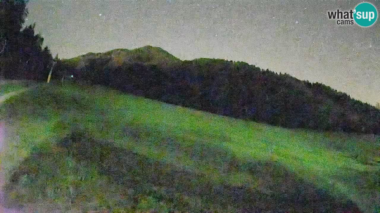 RTC Skigebiet Kranjska Gora | Brsnina