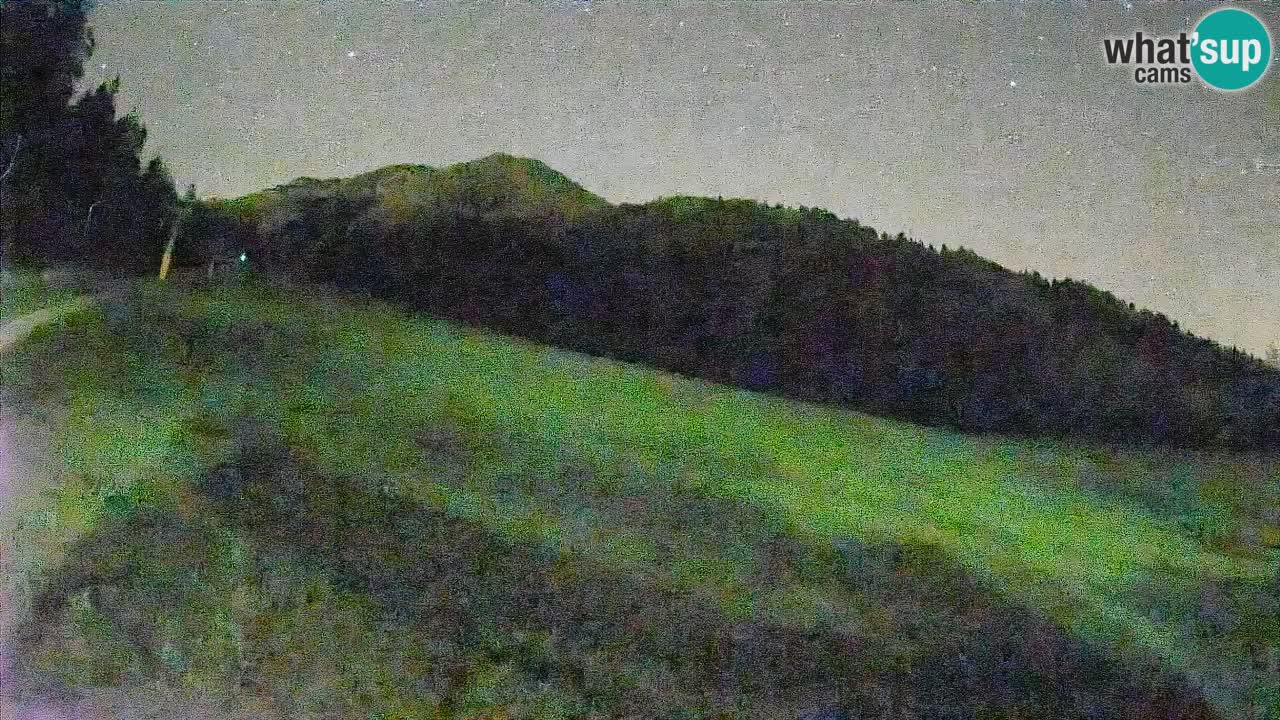 RTC Skigebiet Kranjska Gora | Brsnina