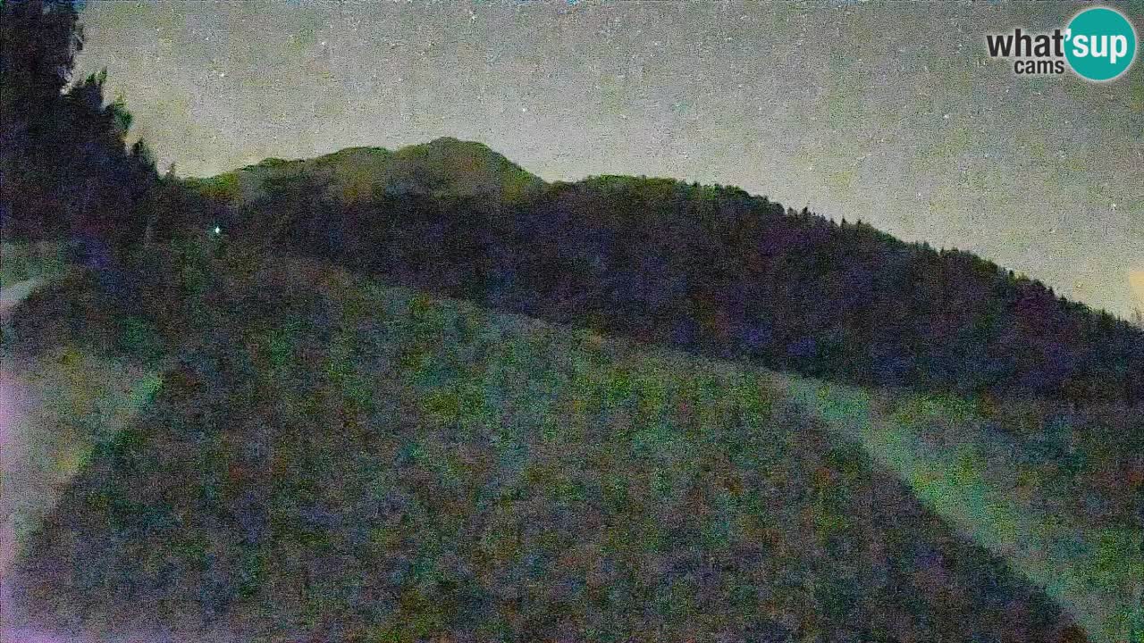 Ski Kranjska Gora | Brsnina