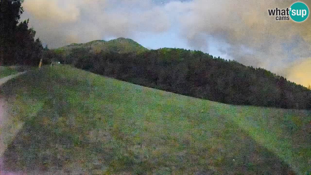 Ski Kranjska Gora | Brsnina