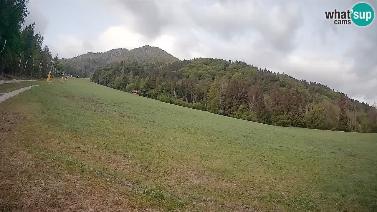 RTC Skigebiet Kranjska Gora | Brsnina