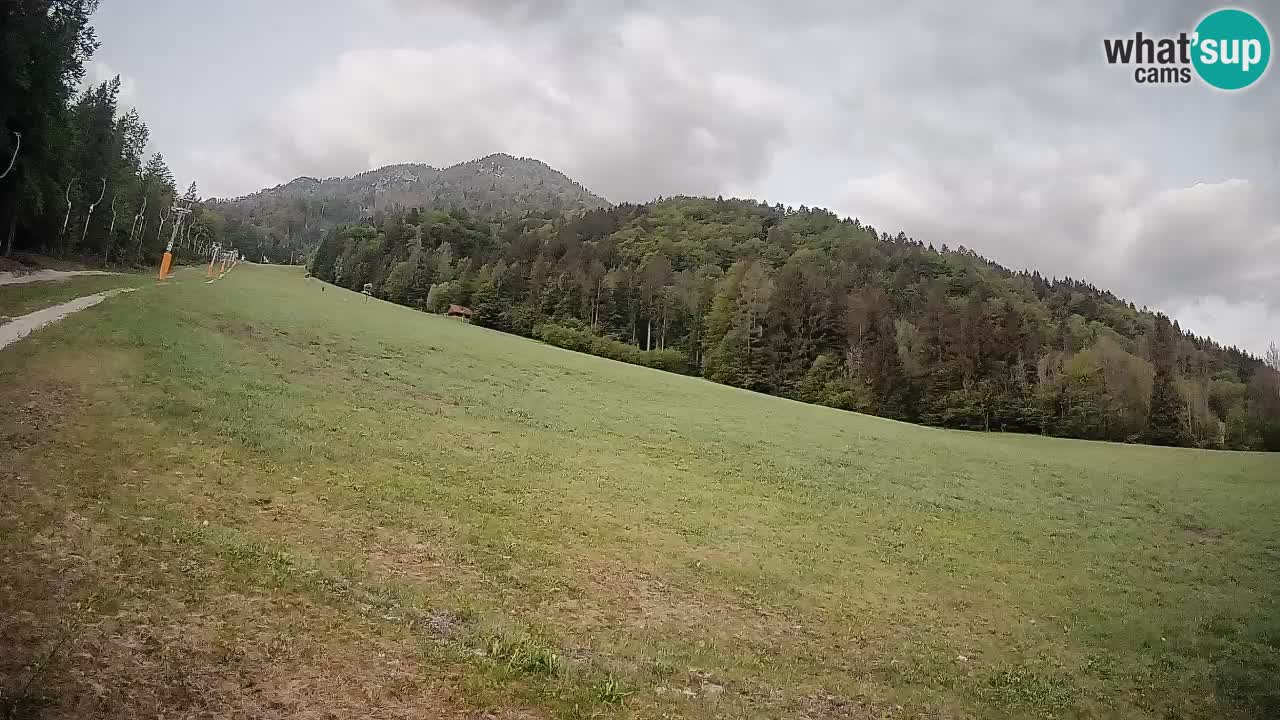 Comprensorio sciistico Kranjska Gora | Brsnina