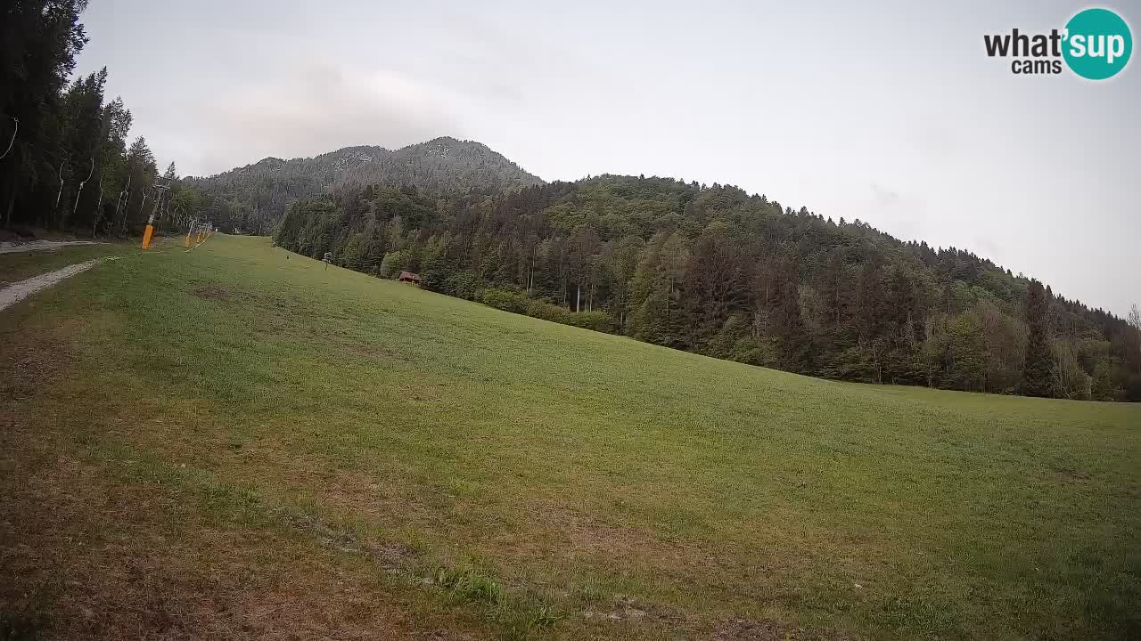 Ski Kranjska Gora | Brsnina