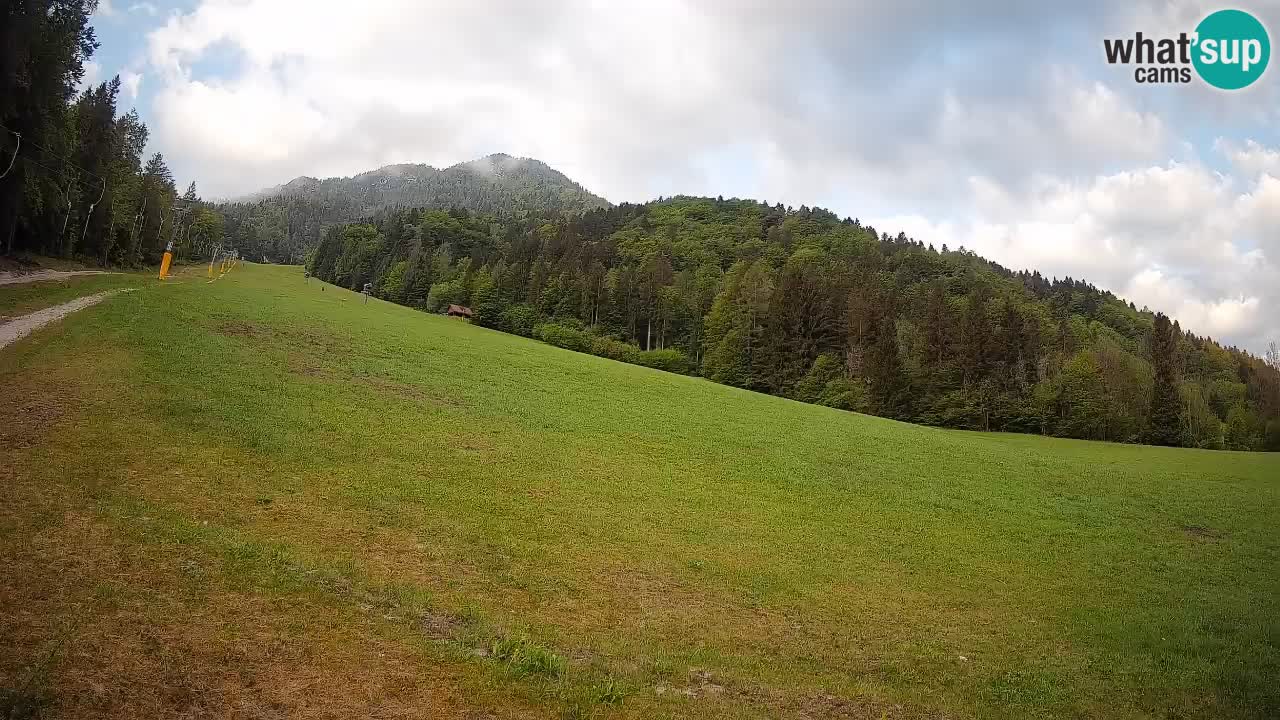 Esquí Kranjska Gora | Brsnina