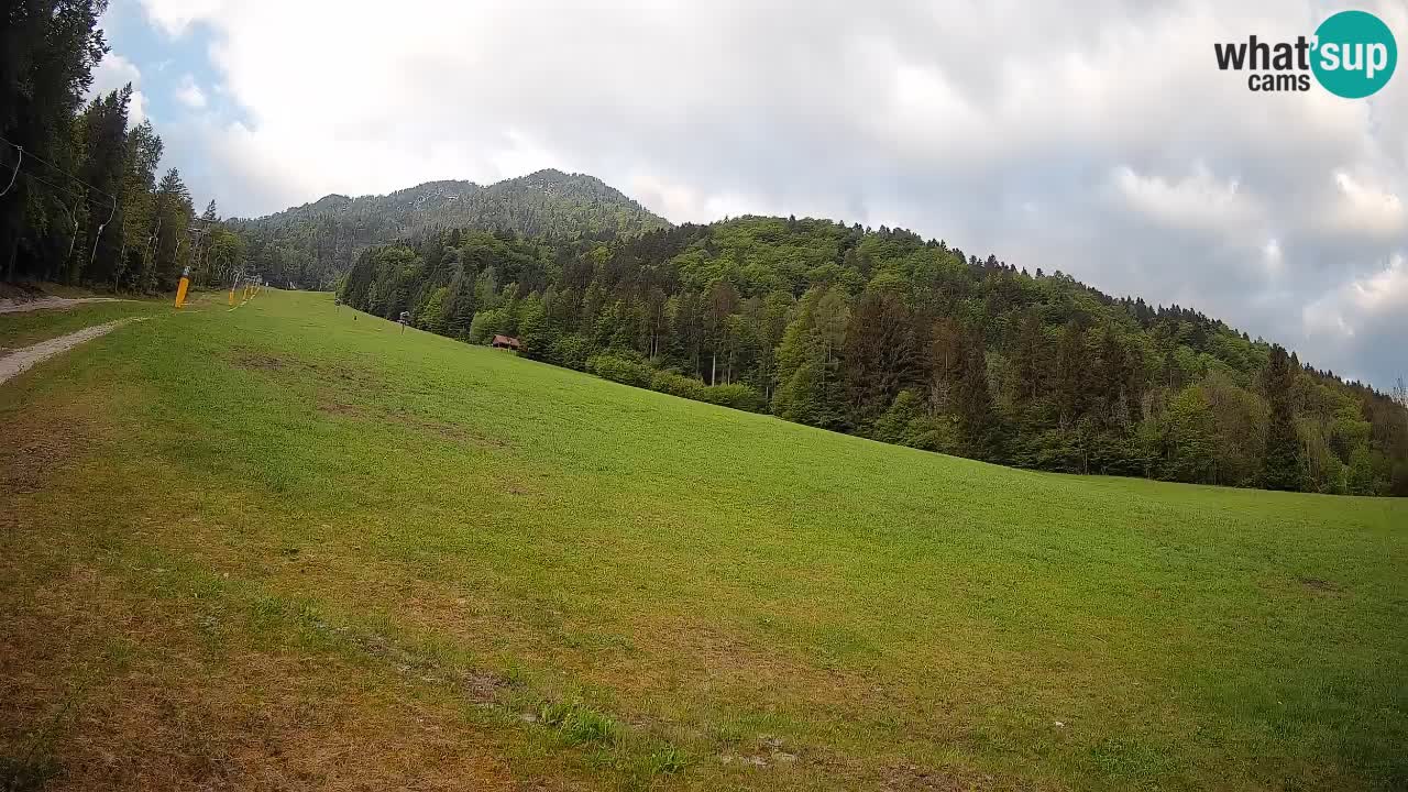Ski Kranjska Gora | Brsnina