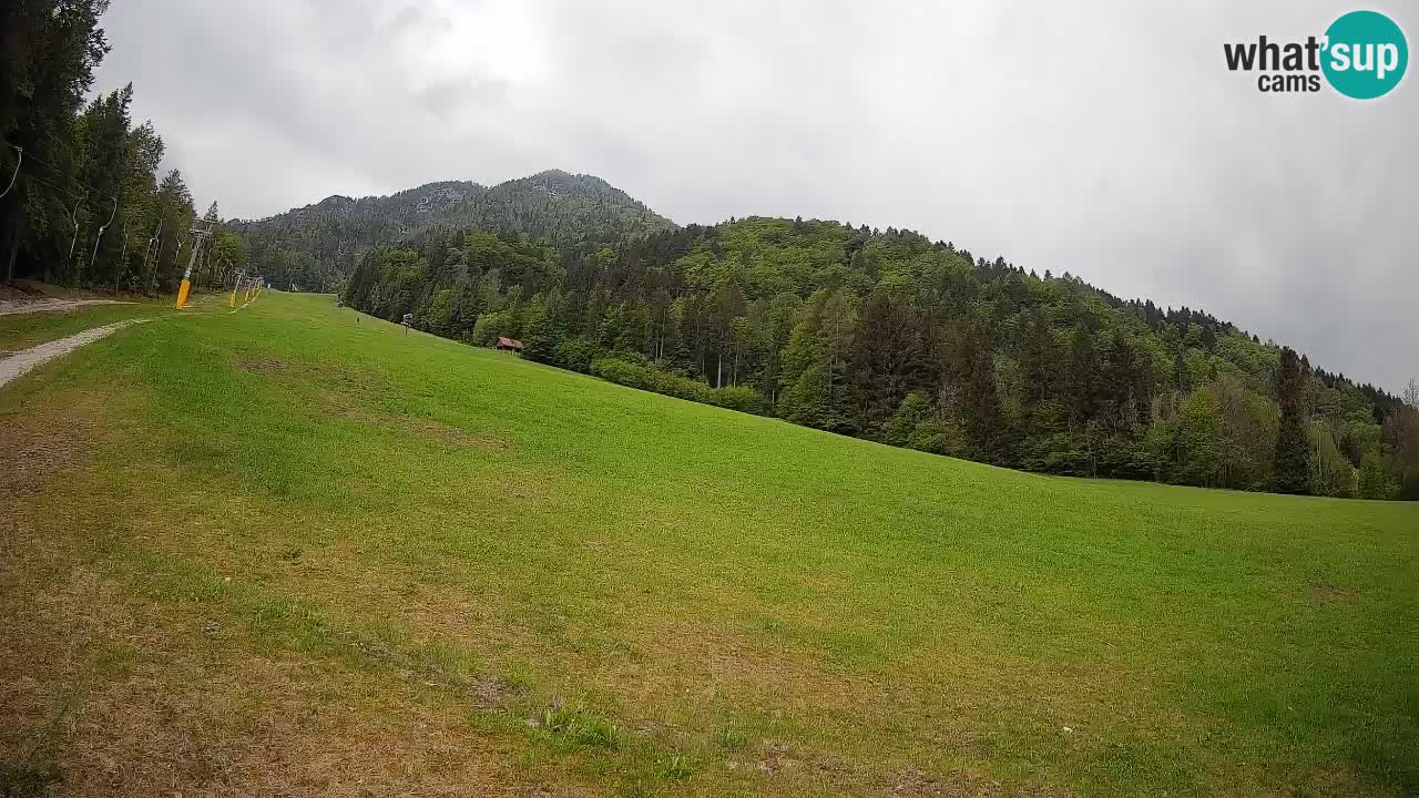 Comprensorio sciistico Kranjska Gora | Brsnina